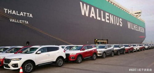 打不贏(yíng)就制裁 歐盟對(duì)中國(guó)電動(dòng)汽車(chē)發(fā)起反補(bǔ)貼調(diào)查, 或加收關(guān)稅