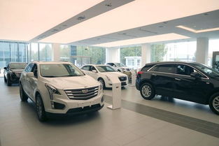 15萬的ATS-L 一場營銷的雙贏游戲，還是消費者的幻象？